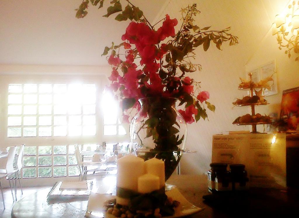 Bed And Breakfast Aloisio San Gregorio di Catania Luaran gambar