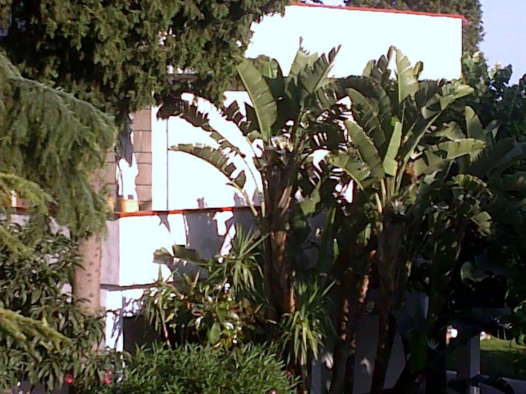 Bed And Breakfast Aloisio San Gregorio di Catania Luaran gambar