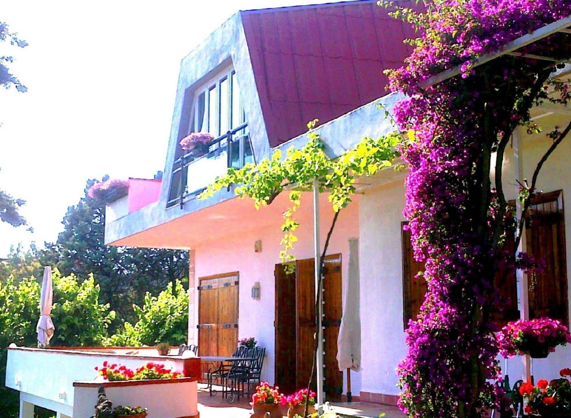 Bed And Breakfast Aloisio San Gregorio di Catania Luaran gambar